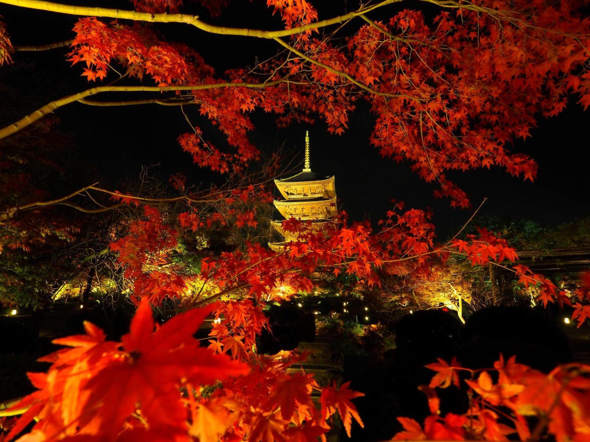 Stay Sakura Kyoto Higashi Hongan-Ji I Exteriör bild