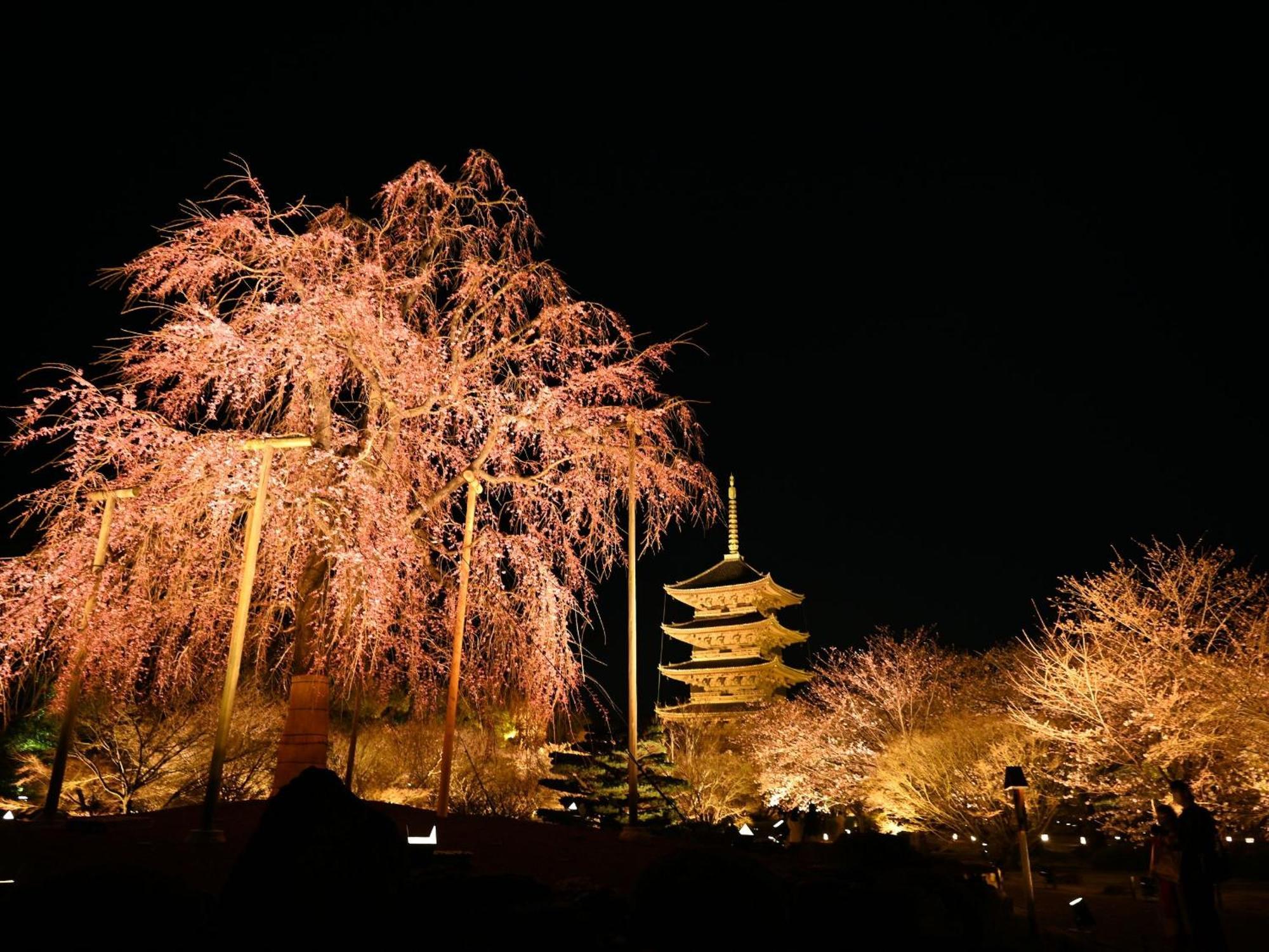 Stay Sakura Kyoto Higashi Hongan-Ji I Exteriör bild