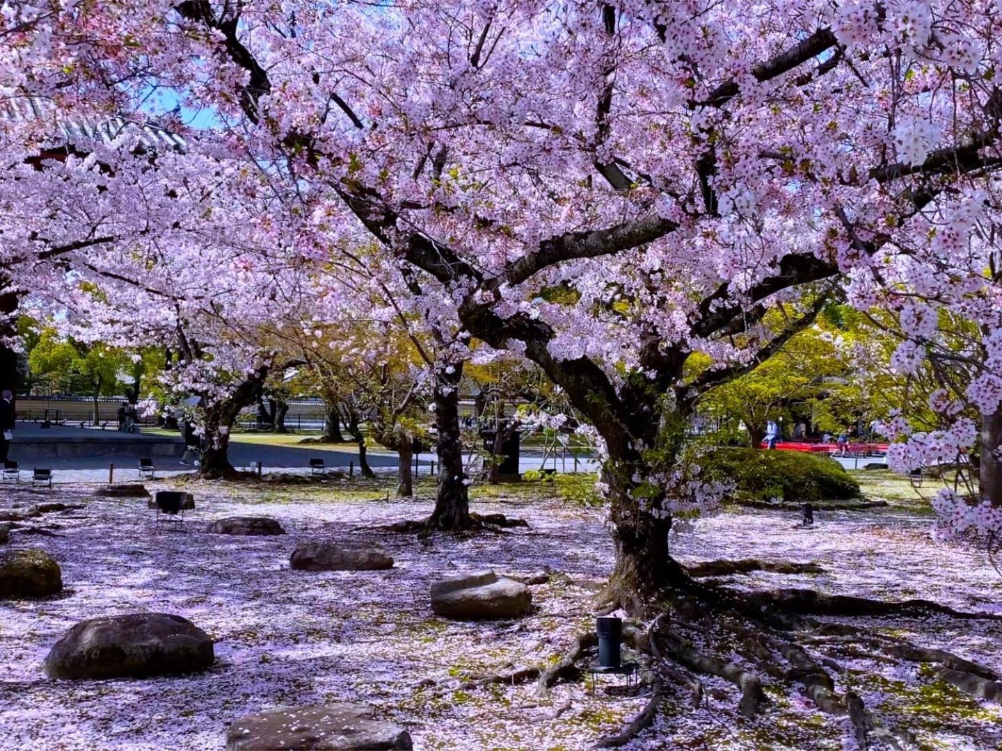 Stay Sakura Kyoto Higashi Hongan-Ji I Exteriör bild